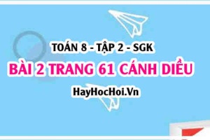 Bài 2 trang 61 Toán 8 Tập 2 Cánh Diều